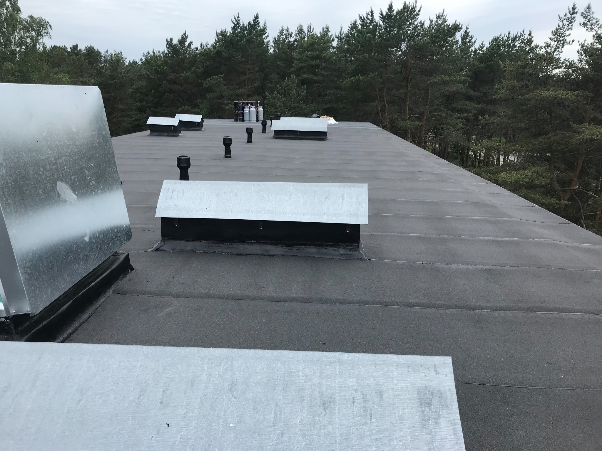 Sinirebase tn 4 roof project