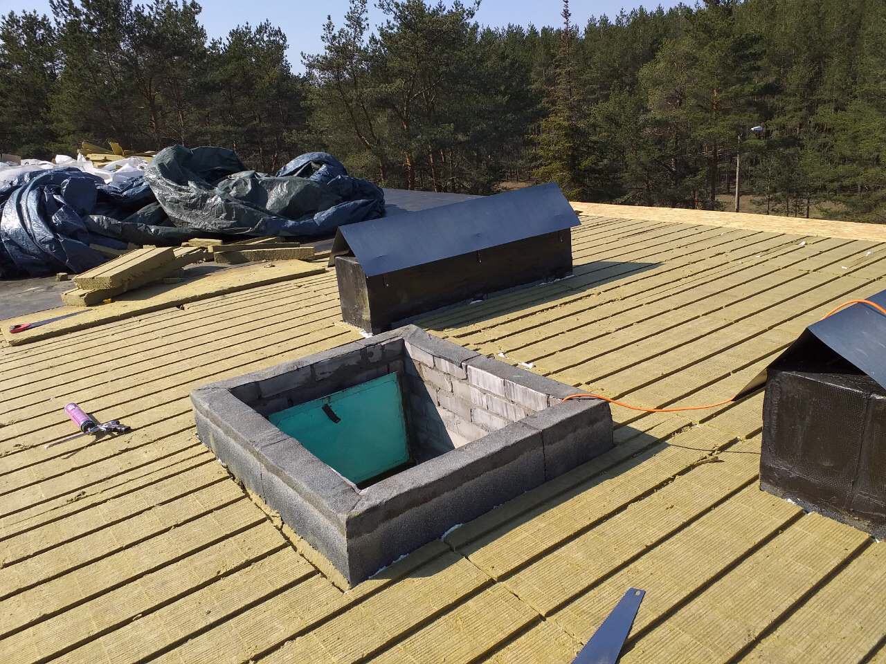 Roof details