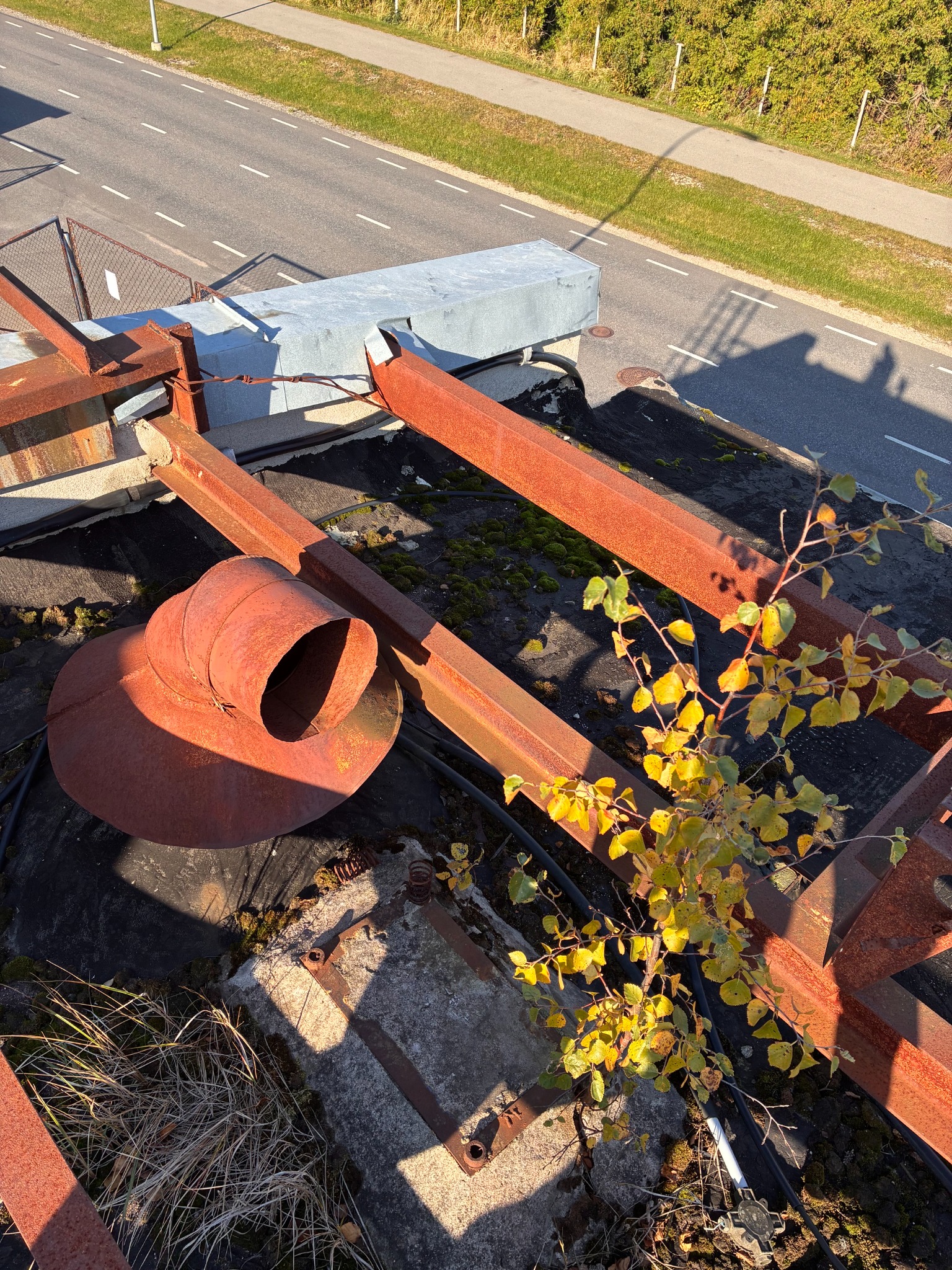 Before renovation: rusted roof vent, moss and vegetation