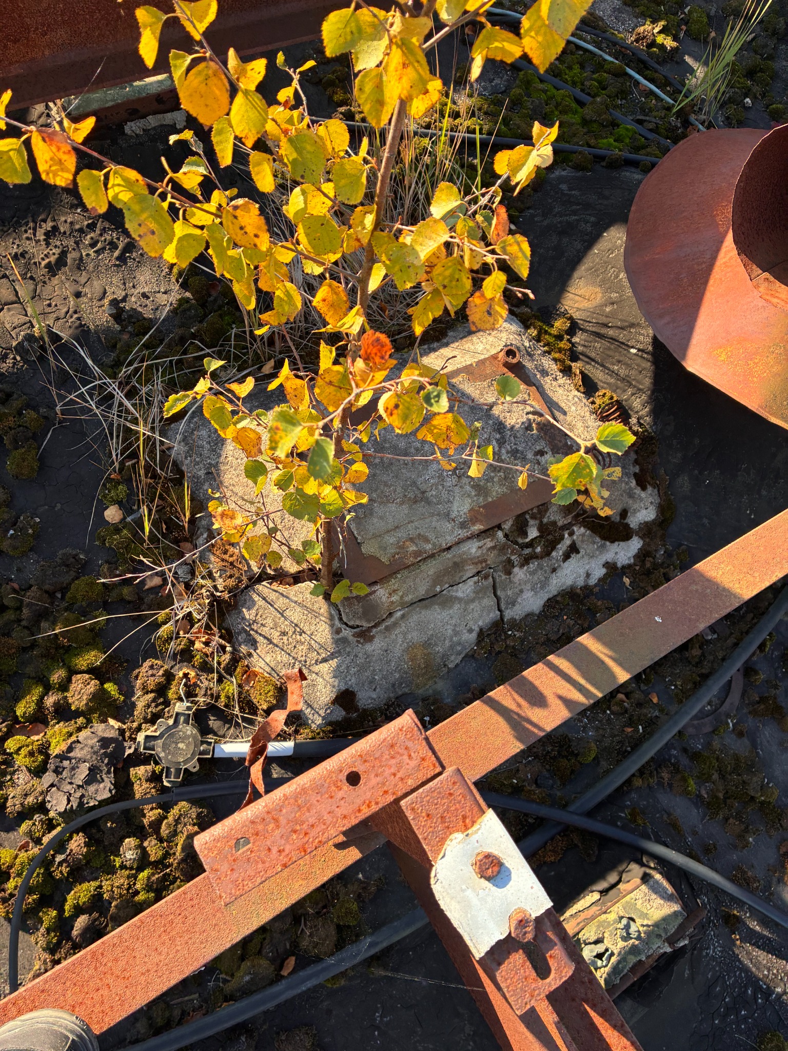 Before renovation: obsolete steel support layout