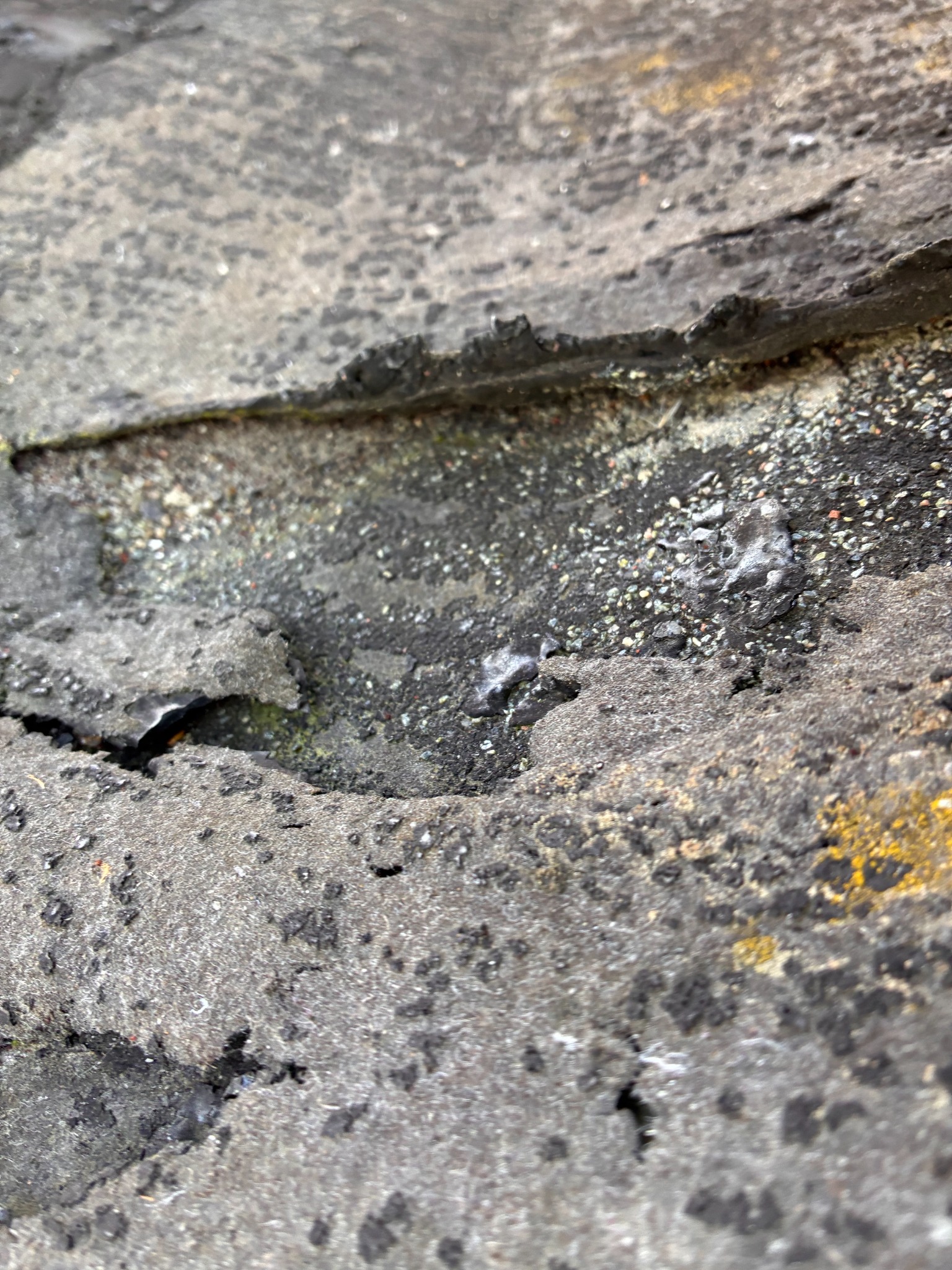 Before renovation: wide view of aged roof membrane