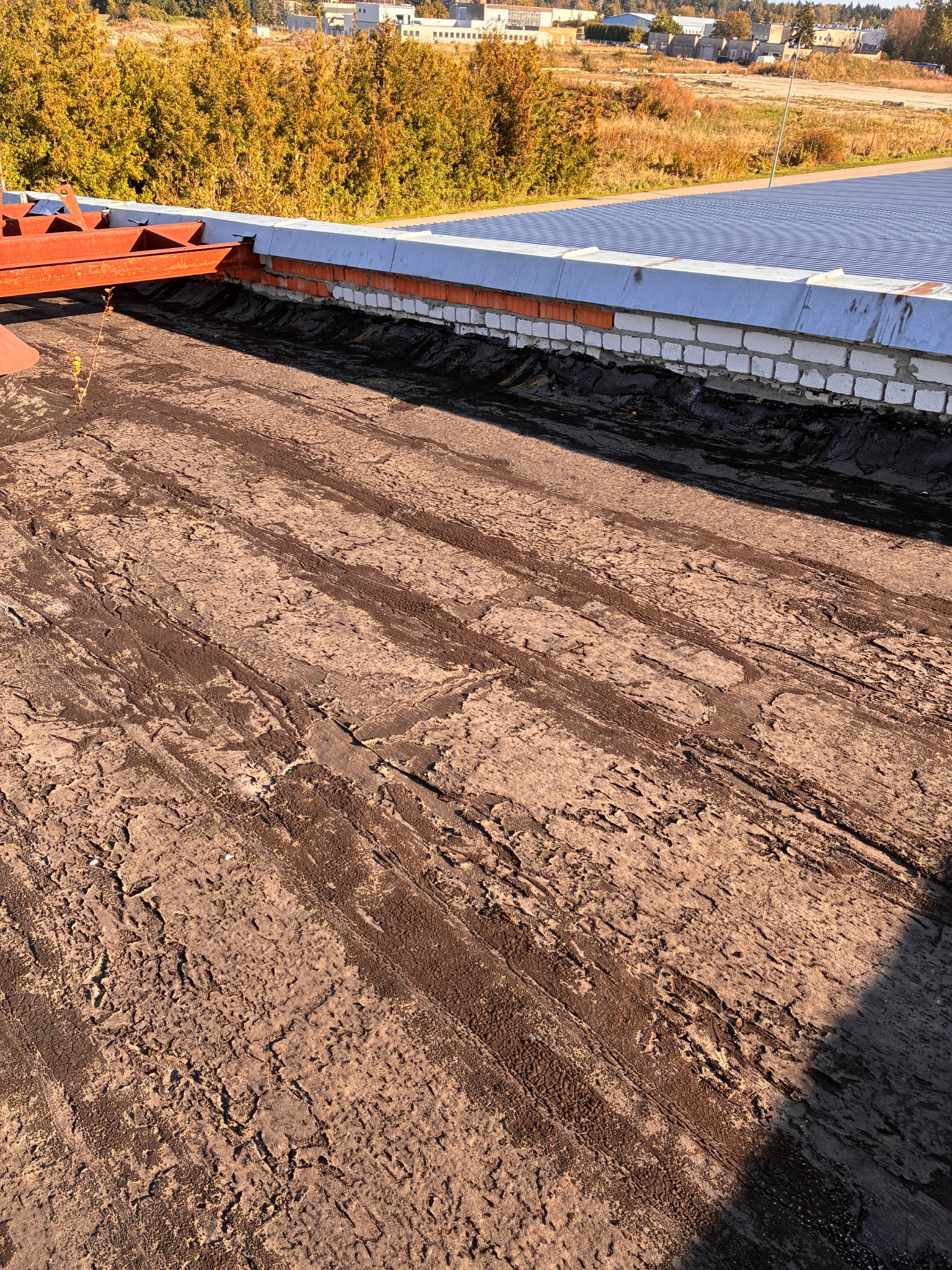 Before renovation: vegetation and obsolete roof vent