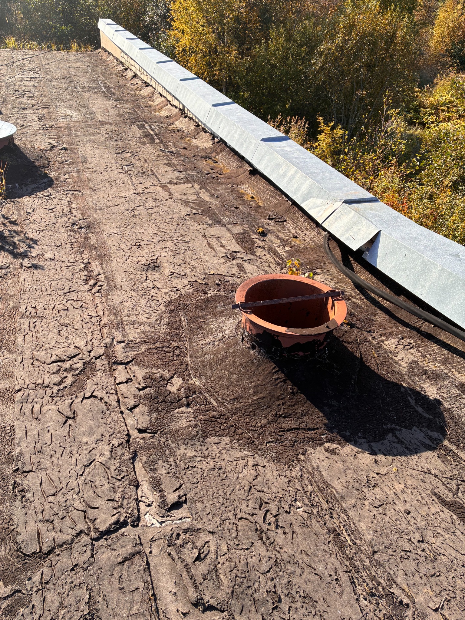 Before renovation: deteriorated roof surface and curb