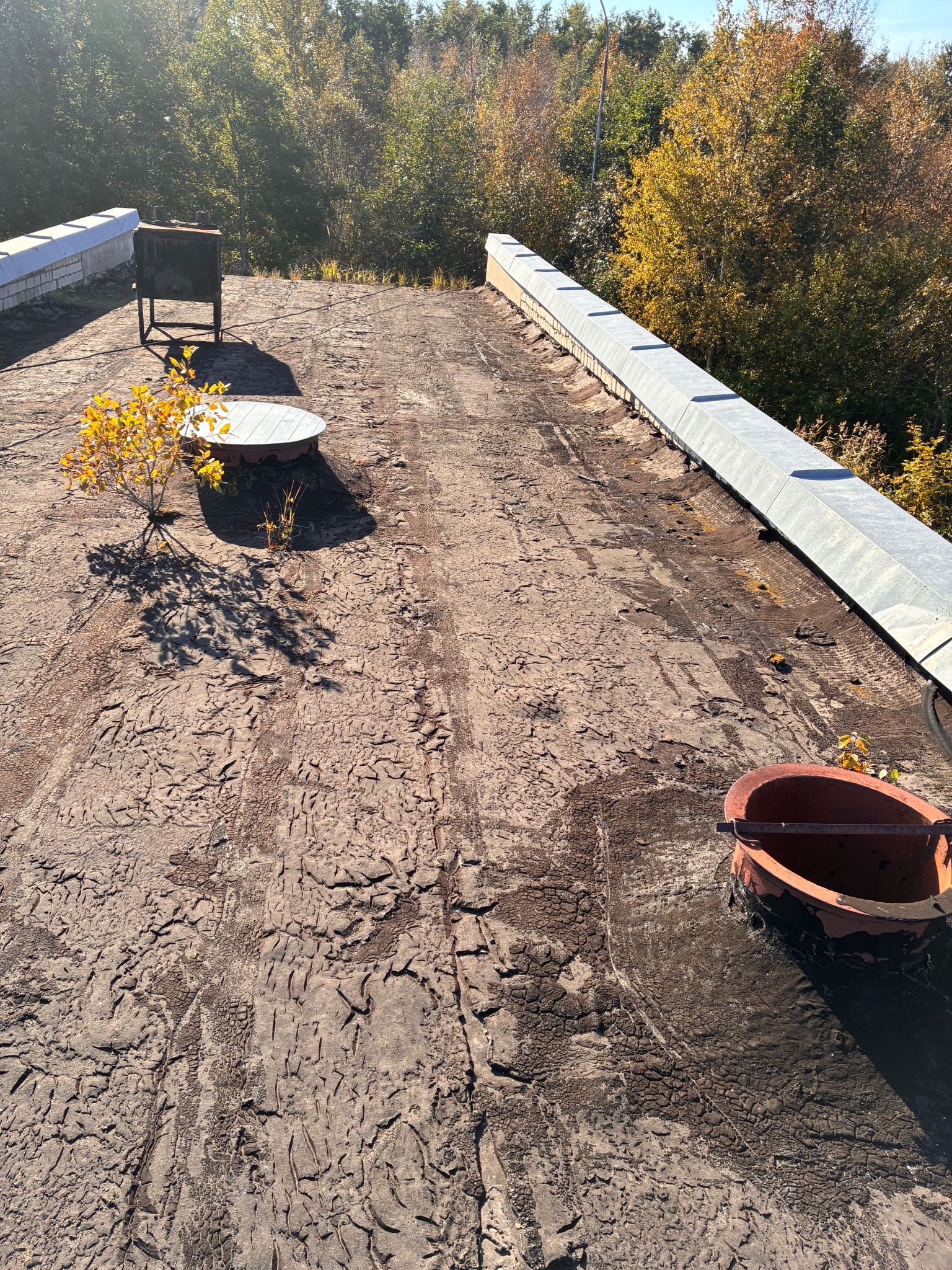 Before renovation: full view of existing roof condition